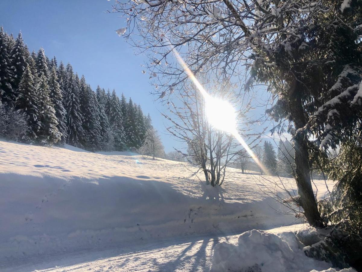 Le Chalet De Nabor Les Gets Exterior foto